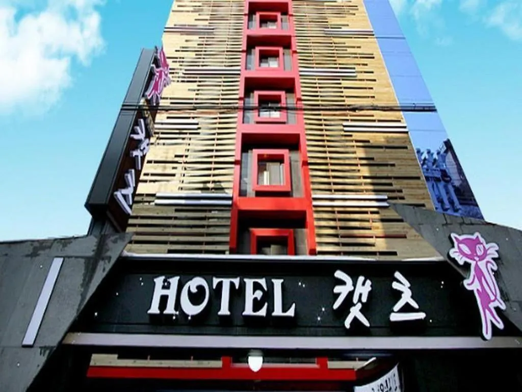 Hotel Cats Bucheon